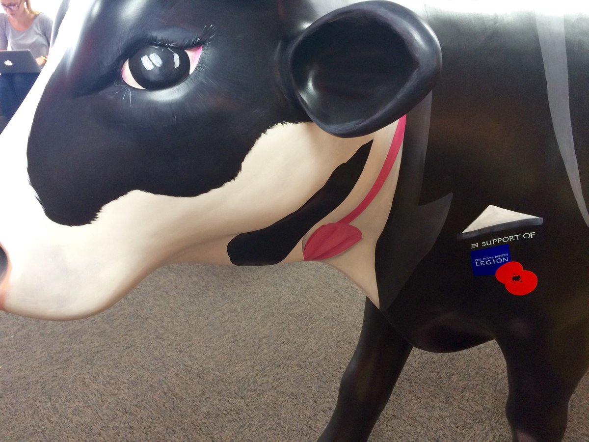 It's been an honour &amp; a privilege to support <a href="/PoppyLegion/">Royal British Legion</a> throughout my #Mooi5 missions. I've worn my poppy with pride. #LestWeForget