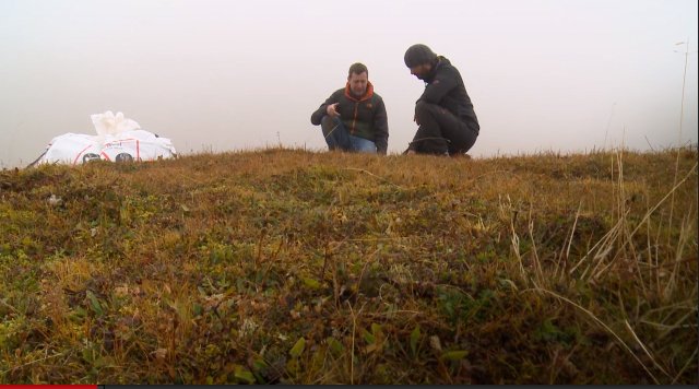When weather extremes causes plants to climb mountains mtnforum.org/content/when-w…
