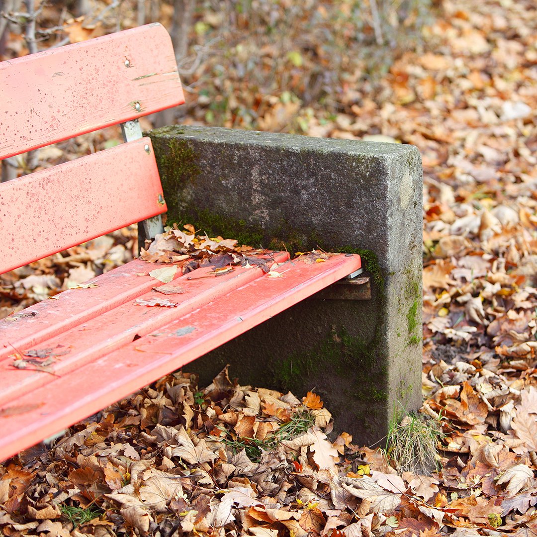 Sonbaharın doğaya bahşettiği doğal güzelliği, ağaçların arasında dinlenerek keşfet… 🍂🍁