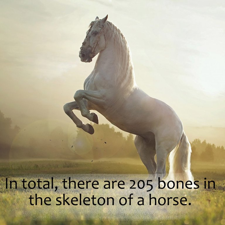 DailyRandomF's tweet image. 