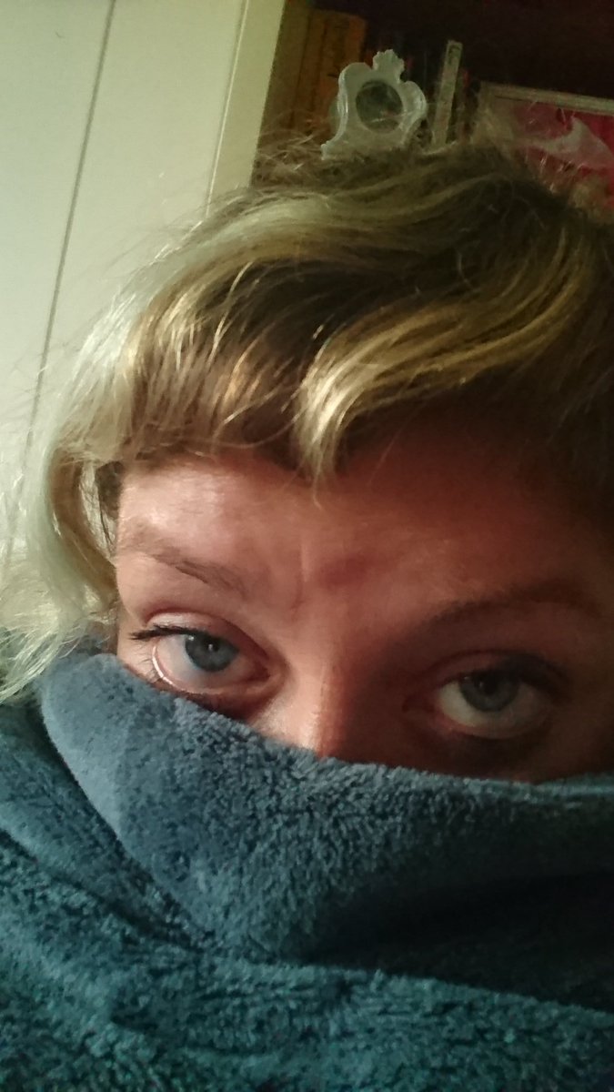 KatundLupus's tweet photo. ...und wir haben jetzt auch diese Decken mit รrmeln!!1 #snugme https://t.co/9BM2ZxQf72