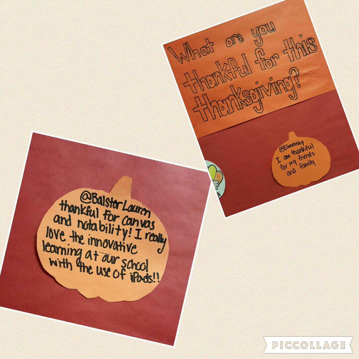 DavidsonHS's tweet photo. What are Davidson students thankful for?  Here are just a few examples.  #CATS https://t.co/g2gmjCBjXe