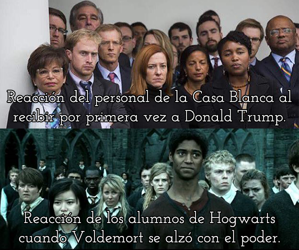 EiProfeta's tweet photo. Nada que añadir. https://t.co/6h01miPvzB
