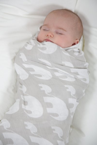 BambiniAndMe's tweet photo. #Bamboo fibre is one of the #gentlest #natural textile products in the world. #FACT https://t.co/Q1icwSwqRf