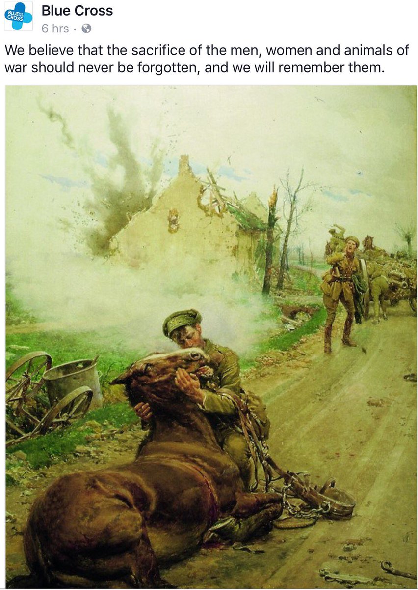 JoyLynne4's tweet image. #Animals #AnimalsofWar should not be forgotten