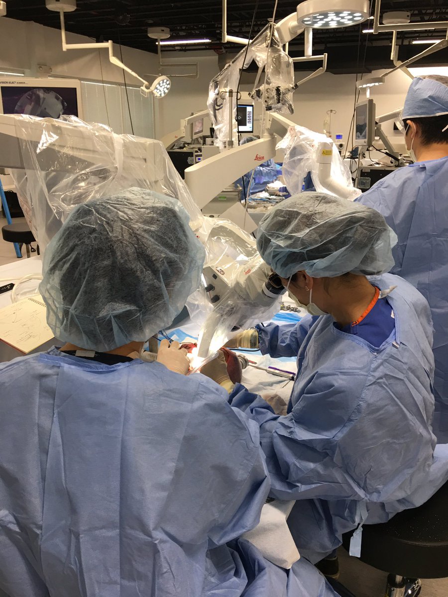 Ali Zomorodi (@azdukeneurosurg) on Twitter photo Proud of our Duke residents at 40th Fukushima International Skull Base Course #Skullbase #Neurosurgery <a href="/Dukeneurosurg/">Duke Neurosurgery</a> Proud of our Duke residents at 40th Fukushima International Skull Base Course #Skullbase #Neurosurgery <a href="/Dukeneurosurg/">Duke Neurosurgery</a>