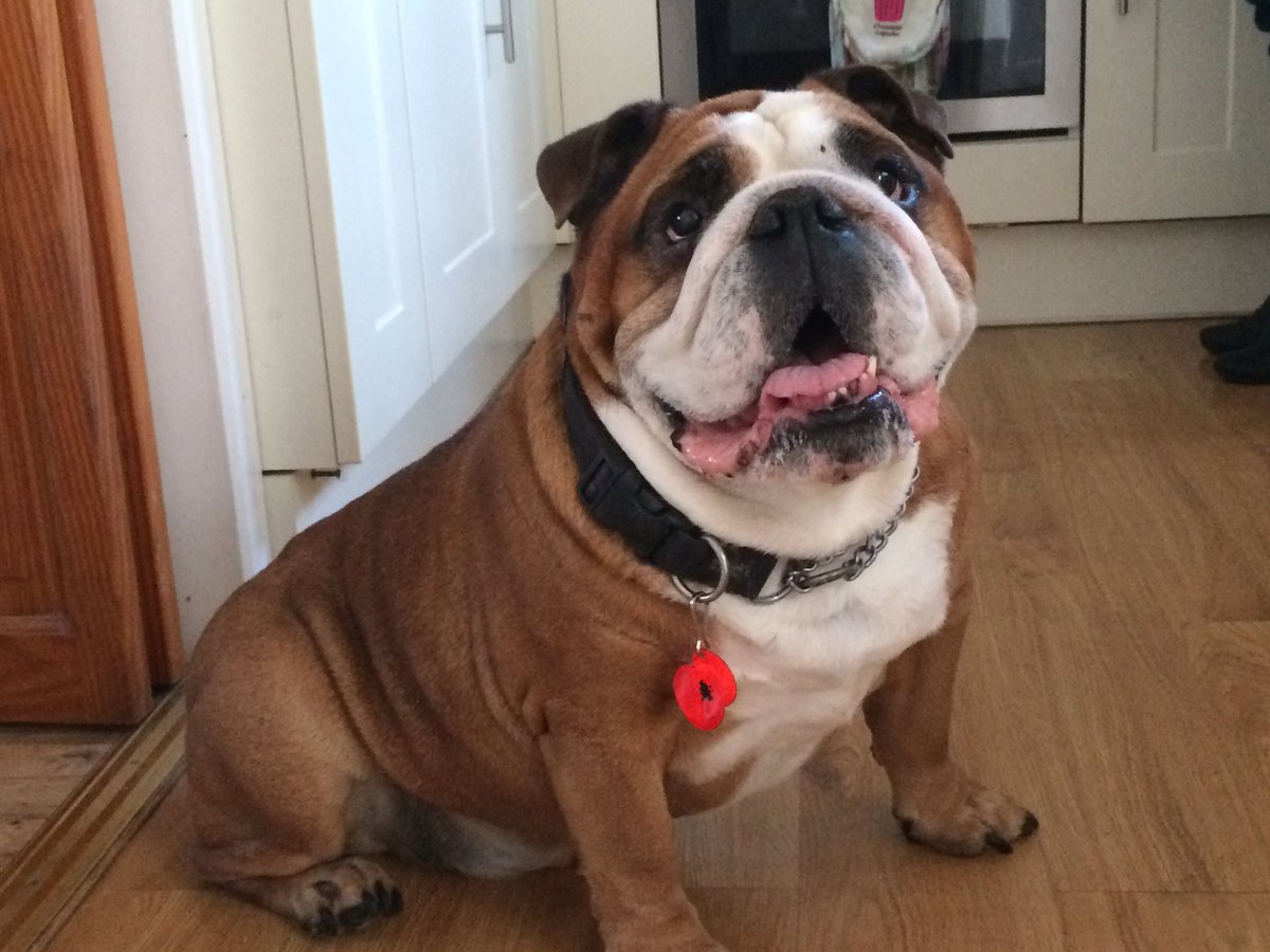 Norman 🙈 tweet media