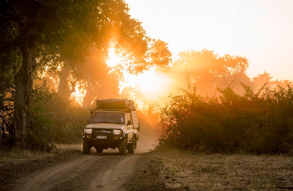 lonelyplanet's tweet photo. DIY safari: a drive on the wild side in Zambia https://t.co/Y69AJMBhQn https://t.co/4CLeOJ6q0Z