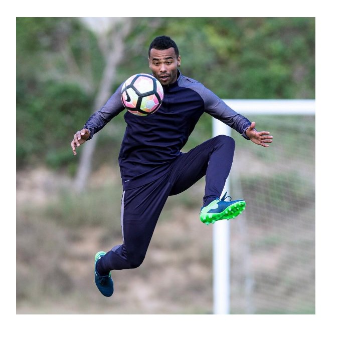 FreeStuff tweet media