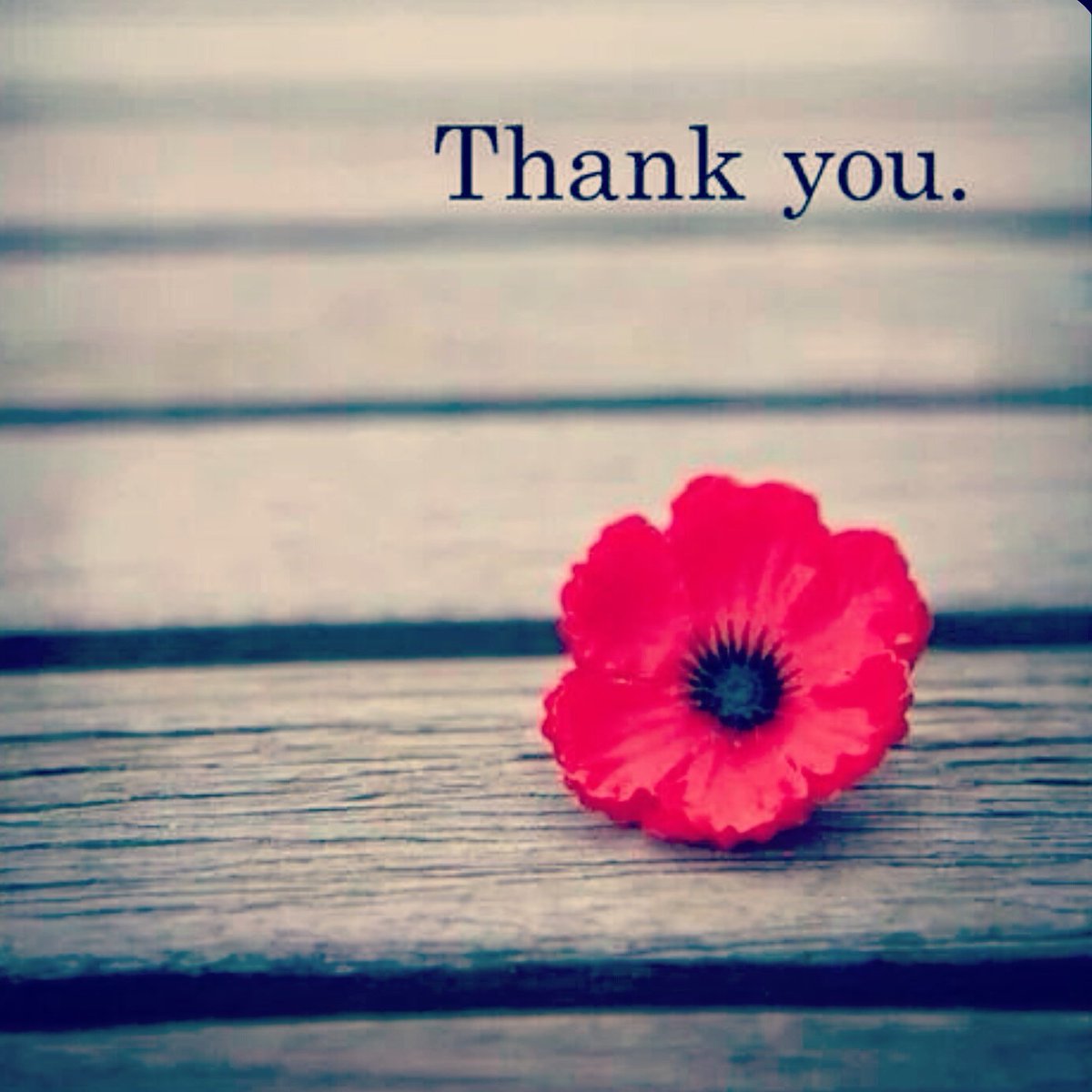 For the Love ofBaths tweet media