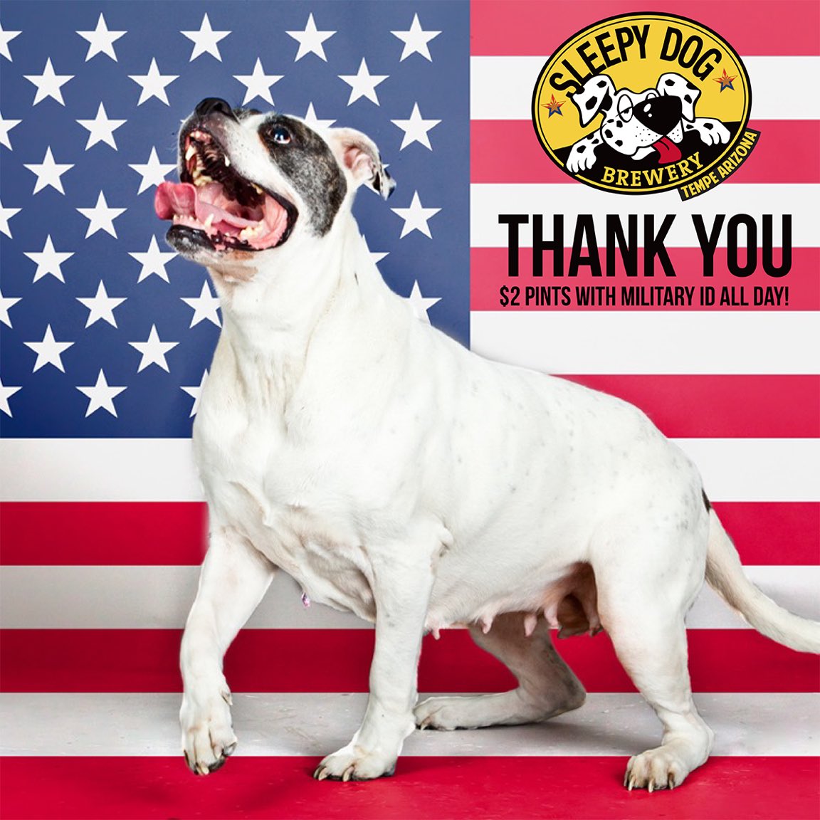Happy Veterans Day!! Head to Sleepy Dog for $2 pints with your military ID! Thank you for your service!! #veteransday #craftbeer