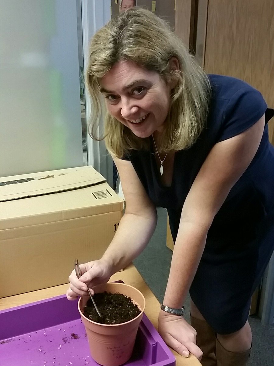 andysmcleod's tweet photo. Planting #newtonseeds at ASDC HQ! #apples #iscsmd #letitgrow #coreactivities @sciencecentres https://t.co/XbIXngp5tr