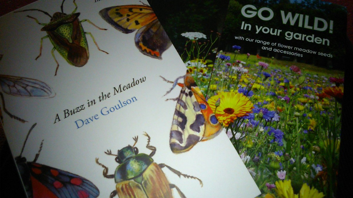 PeartreeHare's tweet image. All of a buzz in Dorset today as @DaveGoulson lovely book arrived from @MeadowInGarden thank you so much for the wonderful prize