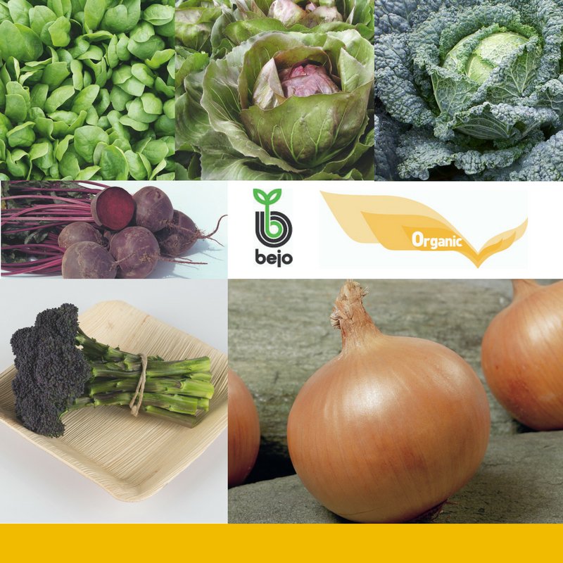 BejoSeeds's tweet photo. The World of Bejo Organics! #BejoSeeds
Providing over 110 varieties in 33 crop categories & growing stronger with more offerings each year. https://t.co/Dc4d6JP8QK