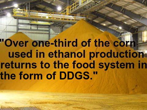 Coproducts_Proj's tweet photo. #FunFactFriday https://t.co/UGo02VT8Eq
