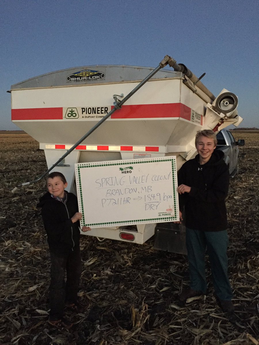 JefferiesSeeds's tweet photo. Unofficial #yieldking winner is @farmermarv spring valley colony! 185 bushels! @PioneerWCanada #yieldhero @NayHarley https://t.co/qI1If9YB2o