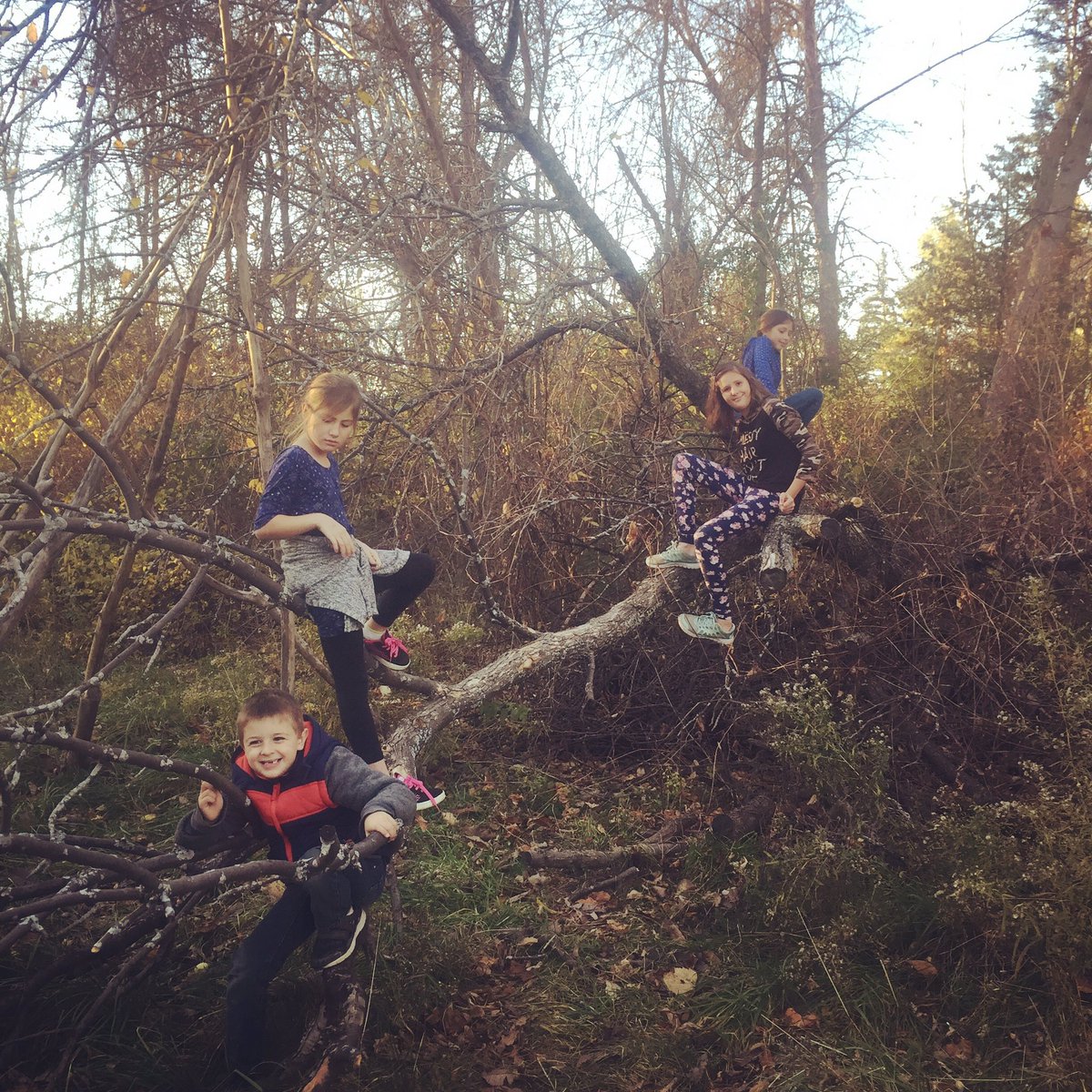 ATaleOf9Lives's tweet photo. Climber kids https://t.co/9tYwaD1eFf