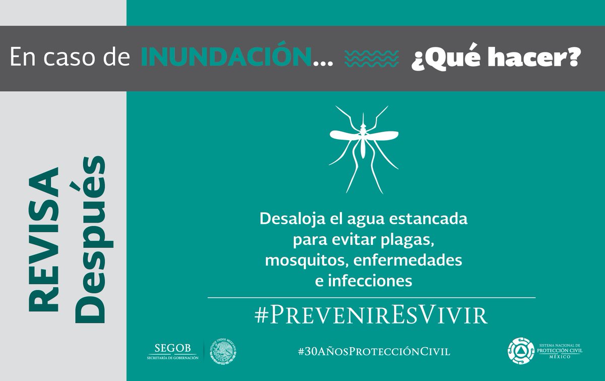 CNPC_MX's tweet image. Después de una #Inundación desaloja el agua estancada para evitar plagas, mosquitos, enfermedades e infecciones #PrevenirEsVivir