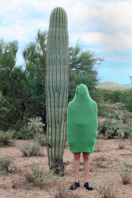 EdHissink's tweet image. What #CX stands for? Cactus Experience of course #cactusexperience @mayerfineart by #kristenskees @Innoboost