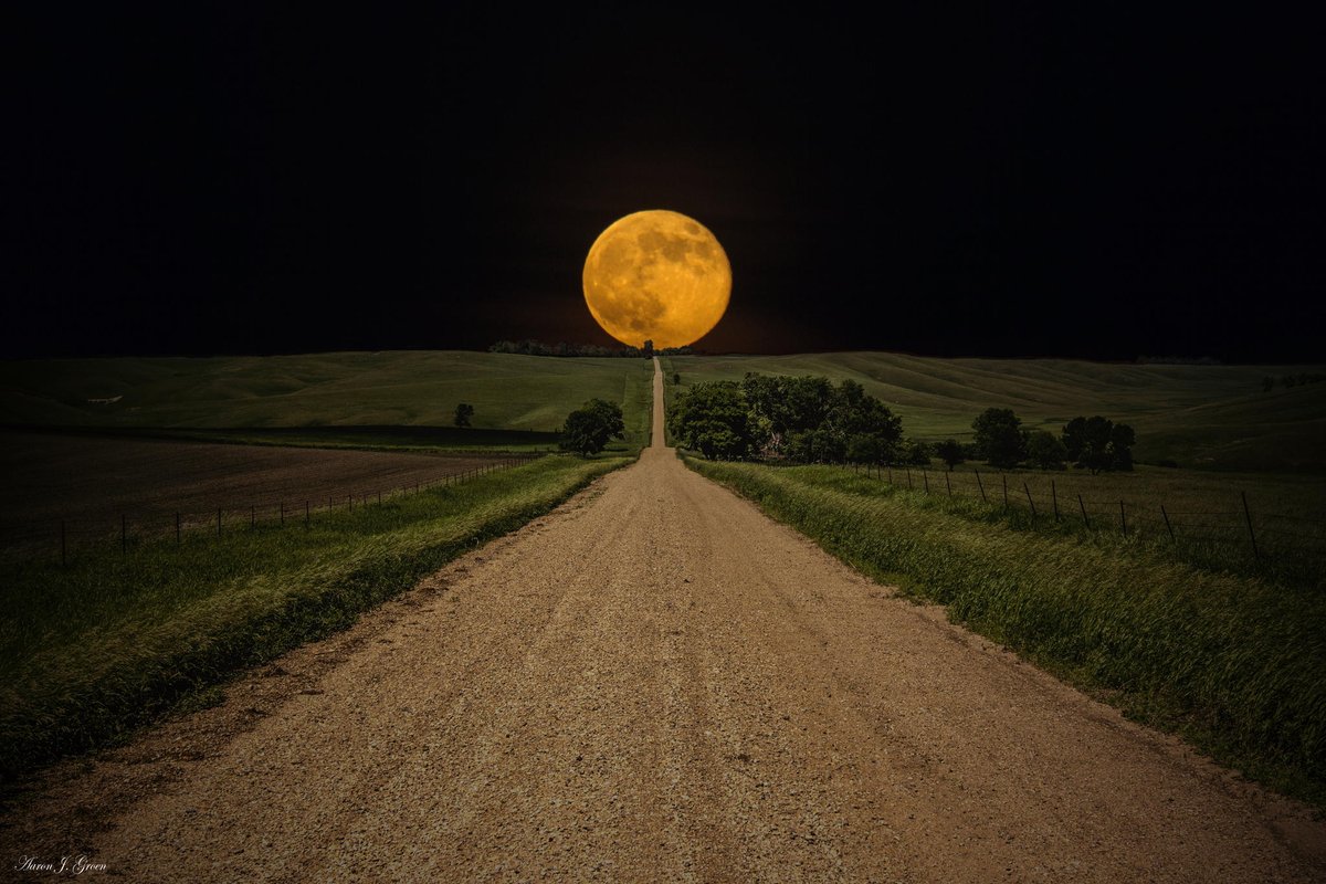 GratitudeDNA's tweet photo. ดวงจันทร์14 พ.ย.นี้หลายคนเรียกว่า Extra Supermoon เพราะนาซาคำนวณแล้วว่าจะทำลายสถิติใหญ่กว่าเดิม14%และสว่างขึ้นอีก30% ถ้าพลาดต้องรอไปถึง2034 https://t.co/kyiqku1Qbt