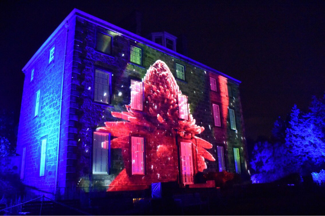 Tomeckus's tweet image. If you haven't seen @BotanicLights at @TheBotanics you can still do so until Sunday 🍂🍁🌾@edinburgh @walkingonleaves