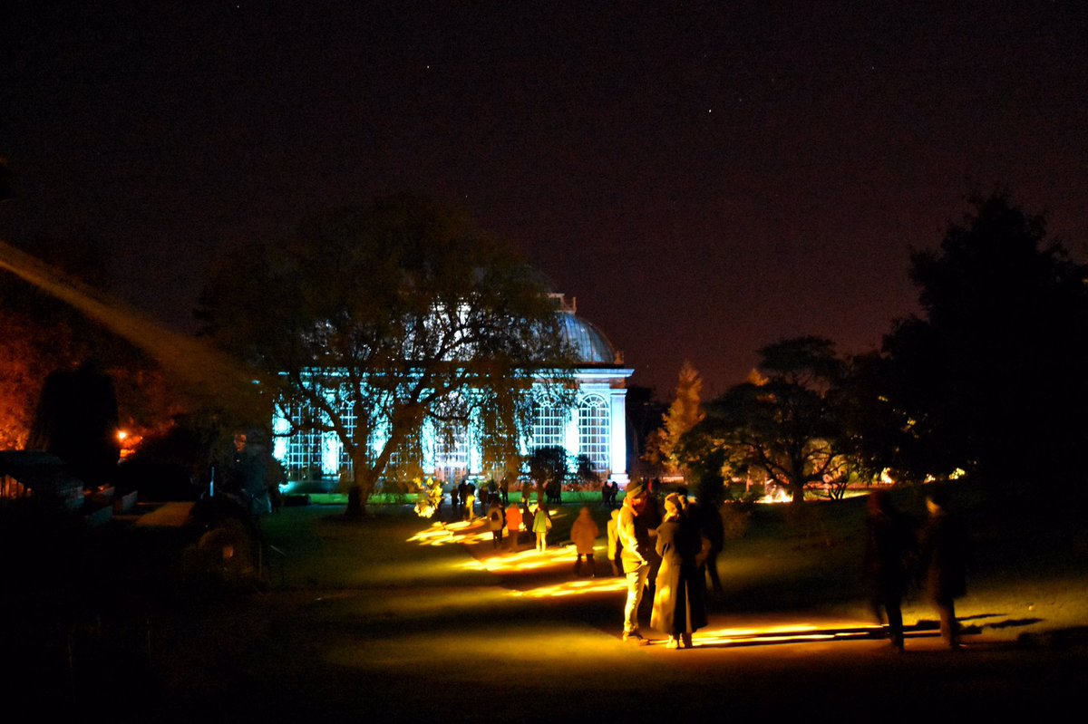 Tomeckus's tweet image. If you haven't seen @BotanicLights at @TheBotanics you can still do so until Sunday 🍂🍁🌾@edinburgh @walkingonleaves