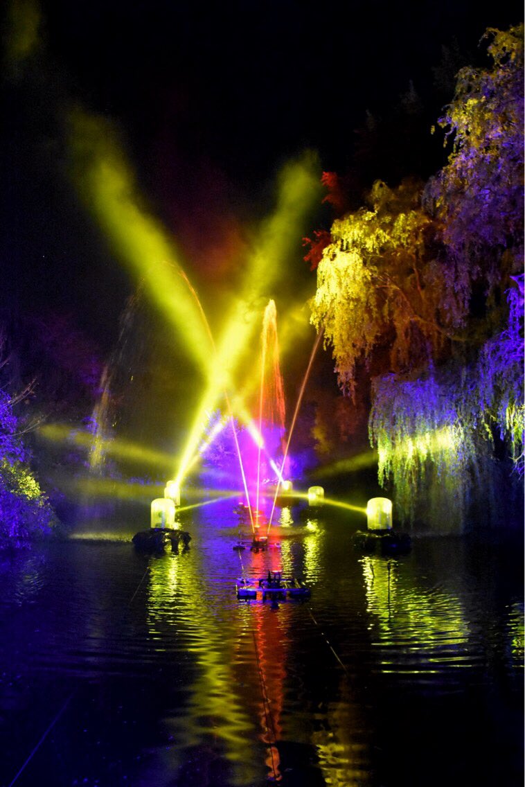 Tomeckus's tweet image. If you haven't seen @BotanicLights at @TheBotanics you can still do so until Sunday 🍂🍁🌾@edinburgh @walkingonleaves