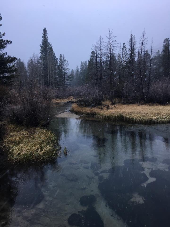 Near Lake Sabrina, CA as it begins to snow. #EasternSierras #LakeSabrina