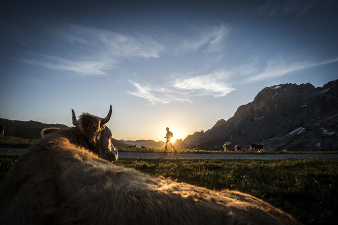 Eiger Ultra Trail tweet media
