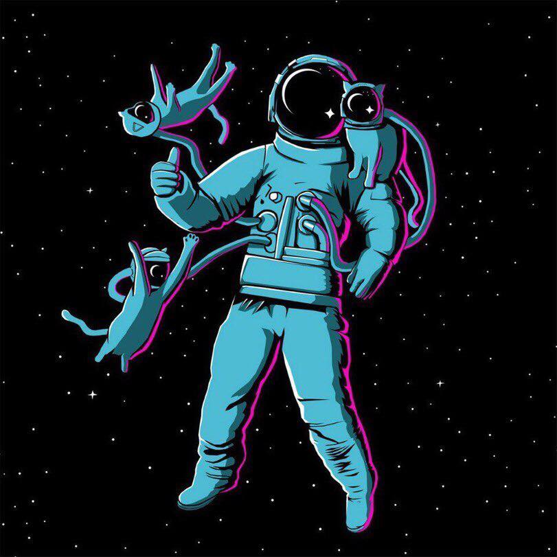 111pixua's tweet photo. Пускай ваш сегодняшний день будет космически шикарен! 😁 👌🏼  #111PIXUA #111PIX #goodmood https://t.co/V445yPhU9J