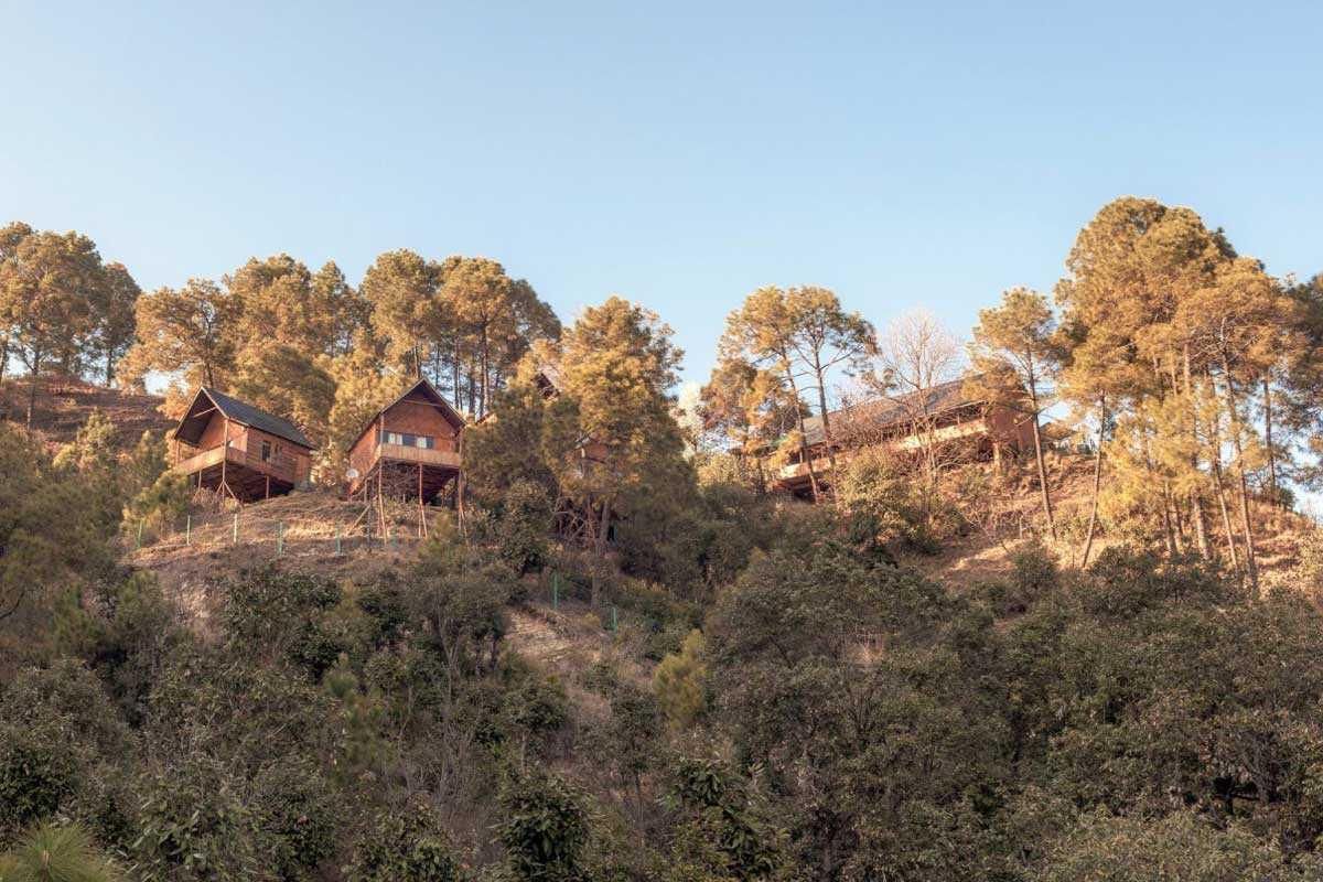 resortsinshimla's tweet photo. Suro Treehouse Resort Shimla luxurious stay up https://t.co/ApwBPGrs2N here.
#resortpackages #3starresorts #suro_treehouseresortshimla https://t.co/e8p9ExkLFF