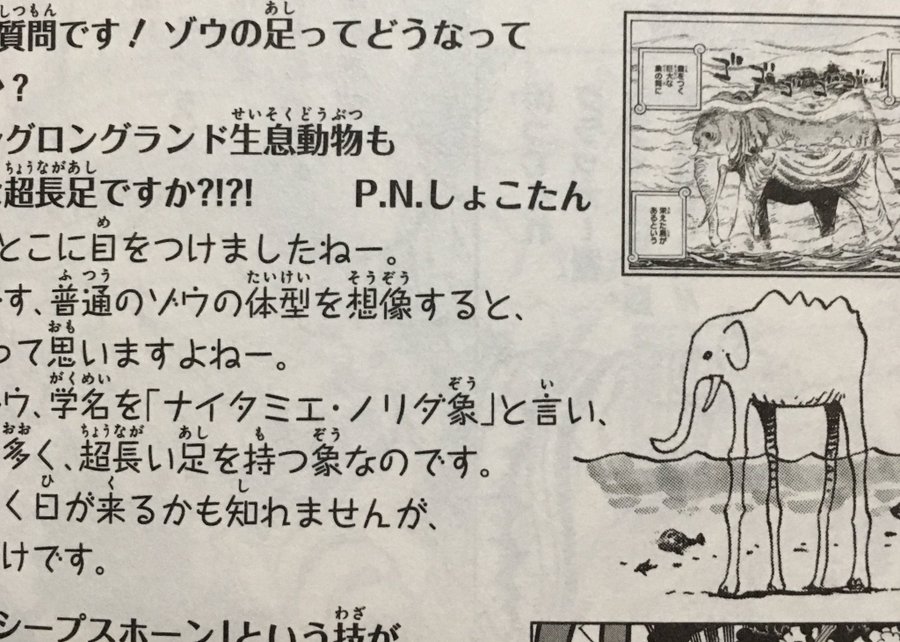 ワンピースズニーシャの大きさは 巨大すぎてやばいと話題にｗ やあ 僕の漫画日記