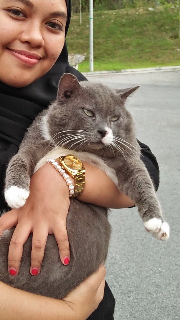 iniapexlah's tweet photo. Bila terpaksa bergambar dengan orang yang kau tak suka https://t.co/NueqiJQM6Z
