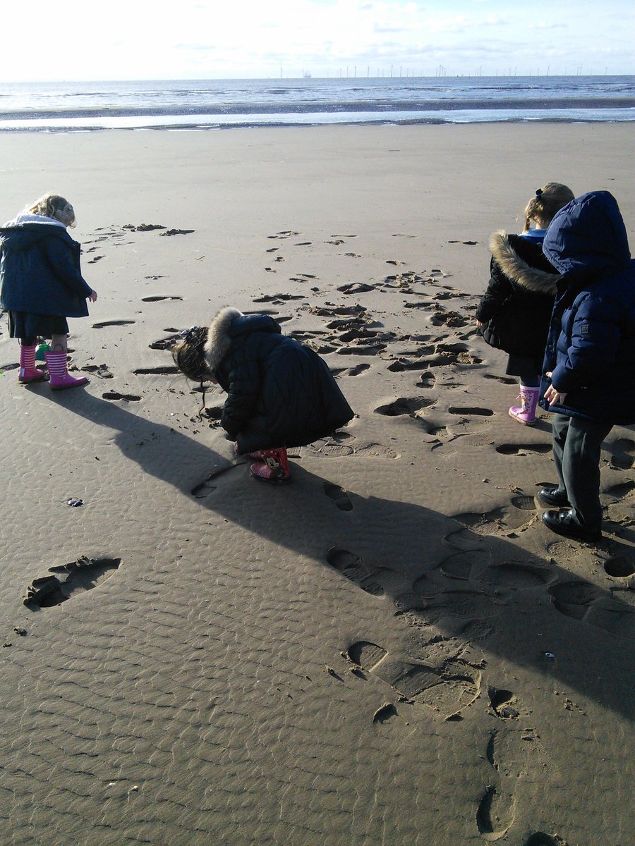 ursulineprimary's tweet photo. Reception had a great time looking for natural objects at the beach on Wednesday! #ADayInReception https://t.co/HYJuyJINP7