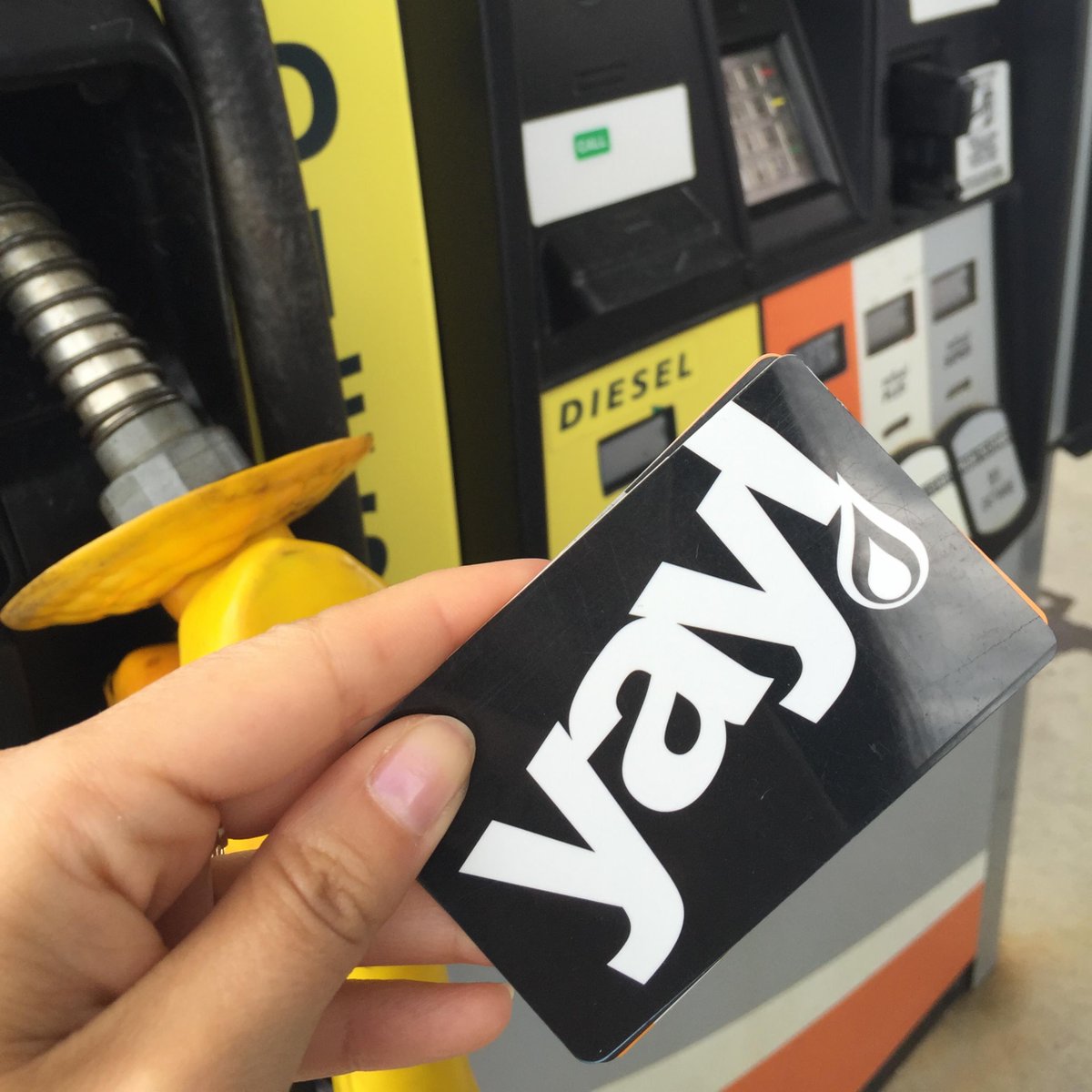 YAYRewards's tweet photo. Always sleek, BLACK is the colour of the week. #ColourMeYay https://t.co/d2LMcSuOuH