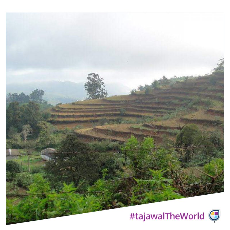 zynb88's tweet photo. #Hortonplains #srilanka #tajawalTheworld #TaskSpotting https://t.co/INJr3aUiiX