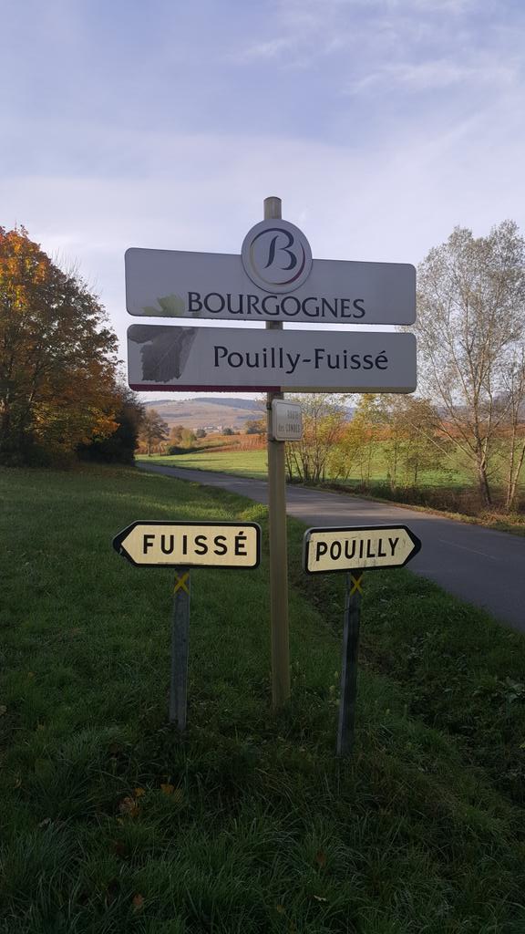 AUM Biosync tweet media