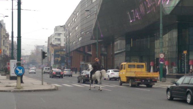 View image on Twitter View image on Twitter