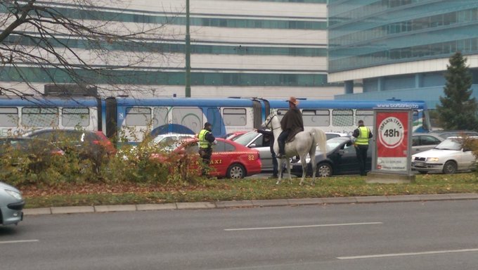 View image on Twitter View image on Twitter