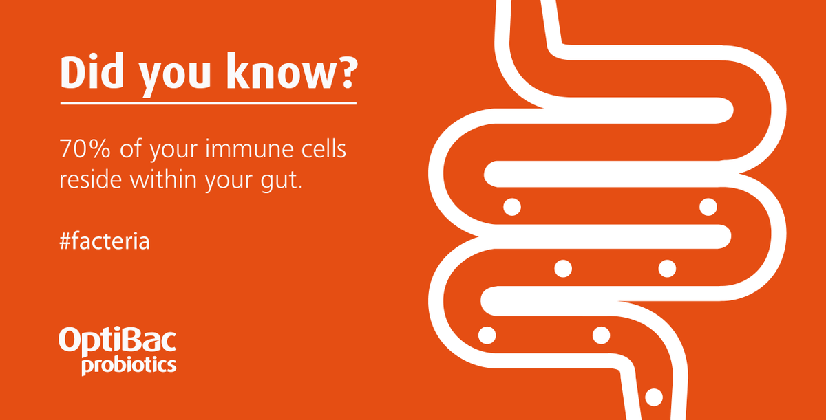 OptiBac's tweet photo. #FACTERIA: Gut #health is a key part of your immune function, as up to 70% of your immune cells reside in your gut. https://t.co/TzTRfauJAG