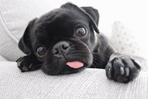 Existen muchas maneras de llegar al viernes. 😂 Esta es la nuestra... 😂