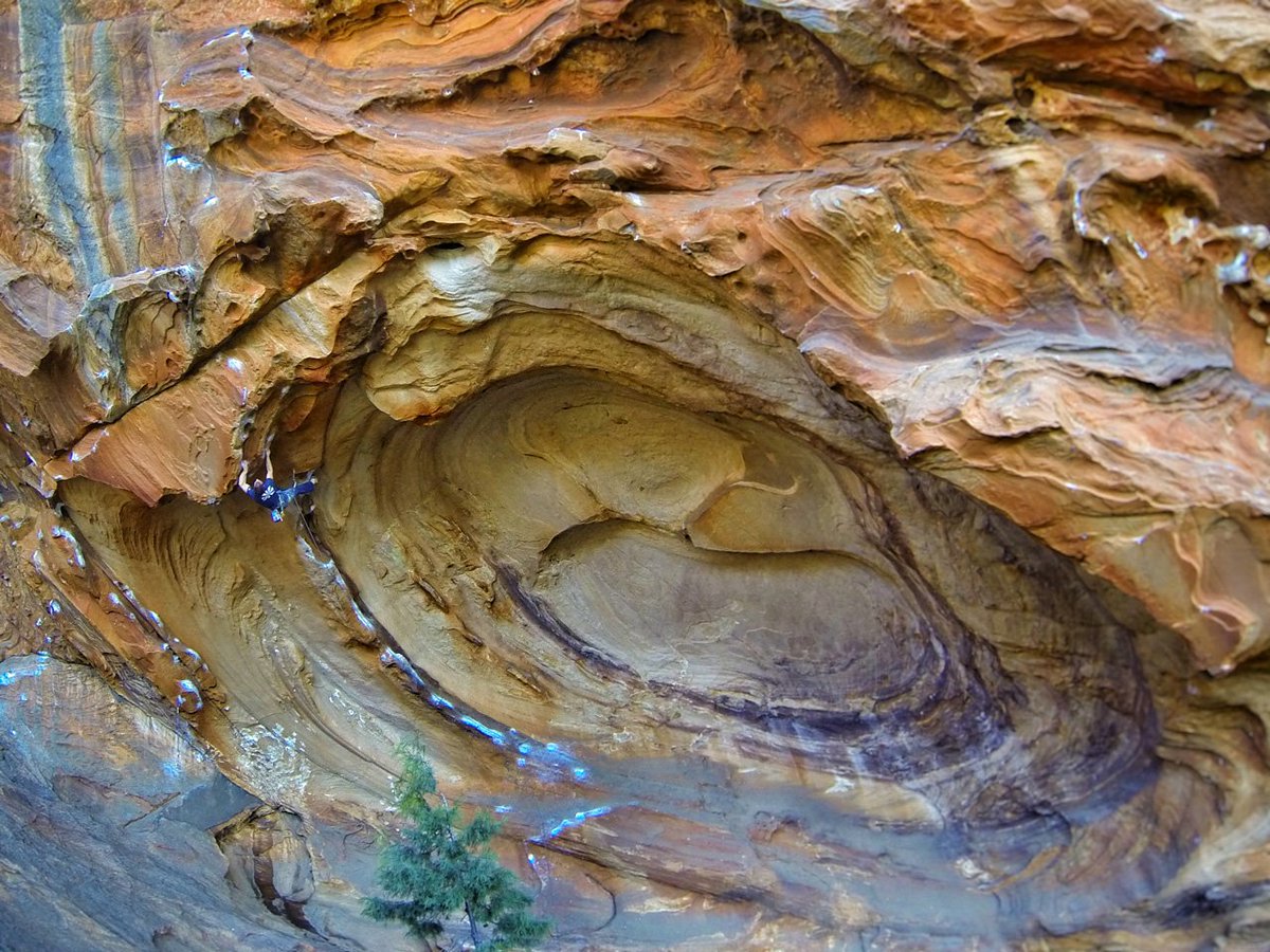 SikedClimbing's tweet image. In Australië klom Mathieu Ceron zijn eerste 8c “Flower Power”. Lees het interview hier: siked.nl/australische-8… #climbing #getsiked