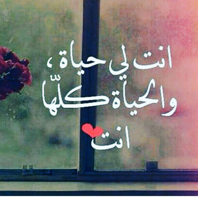 فرح (@afrah26561) on Twitter photo 