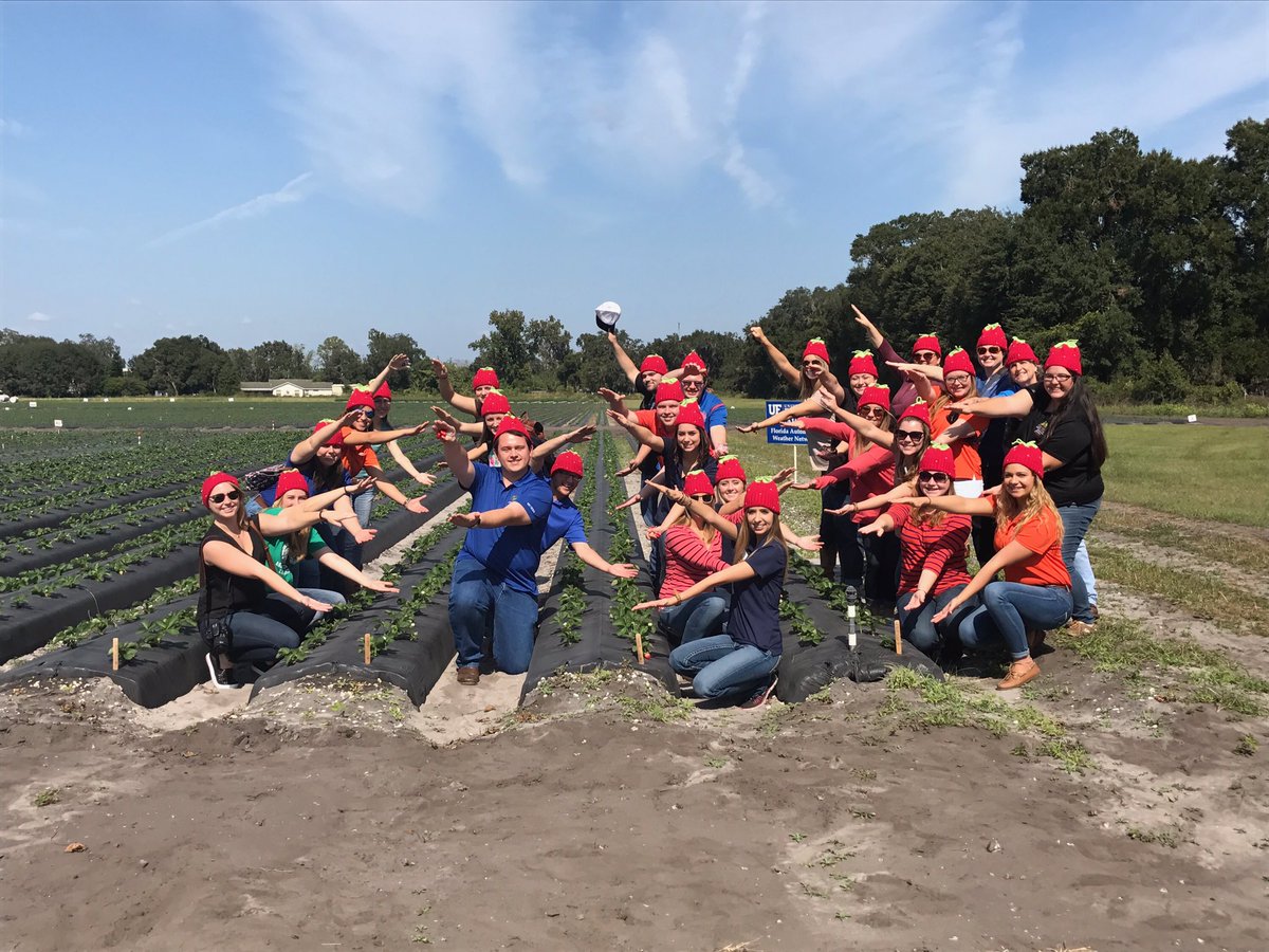 UFAEC's tweet image. #UFAEC students experience Plant City's agricultural industry with a stop at @FlaStrawberries. Check out those Gator chomps! #ISpyaChomp