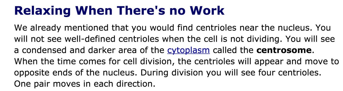 Red_Bloody_Cell's tweet photo. @GFAcentriole You disappear whenever there's no job by the nucleus. How do we know you will be active in making change even when not called? https://t.co/PPaR7NpJqL
