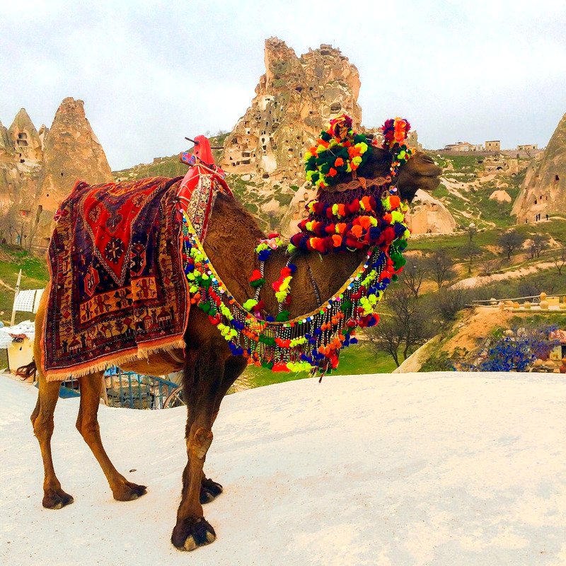 KLEOS Tourism tweet media