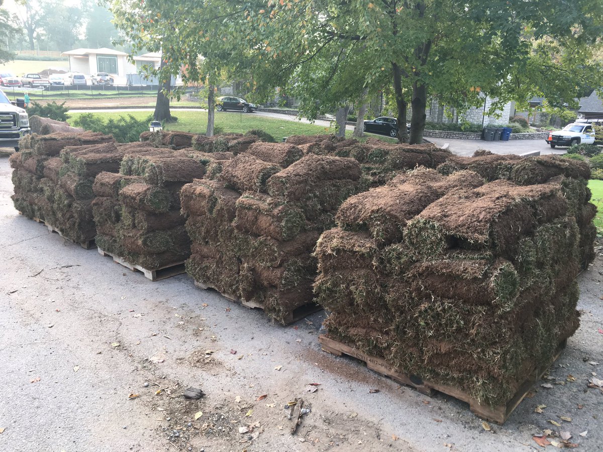 NativeTurfOK's tweet photo. Lots of fresh sod going in a on a great Residential job! Contact @NativeTurfOK for your Residential, Commercial and Home Builder turf needs. https://t.co/7F6fWbEfTi