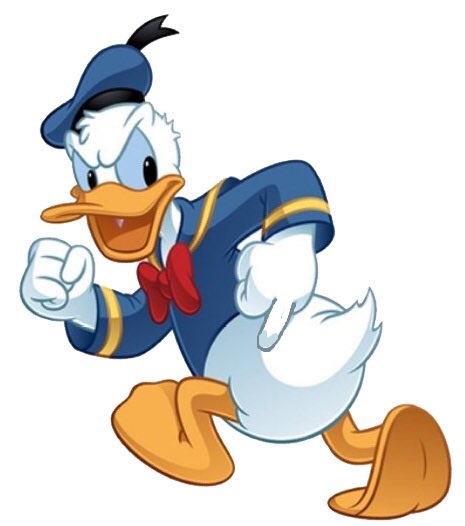 BizLifePHL's tweet image. Believe should be called #LyingCrookedHillary's #DuckDrive from now on 😏 @TyWoods99 @realDonaldTrump #MakeAmericaHonestAgain #TrumpPence16🇺🇸