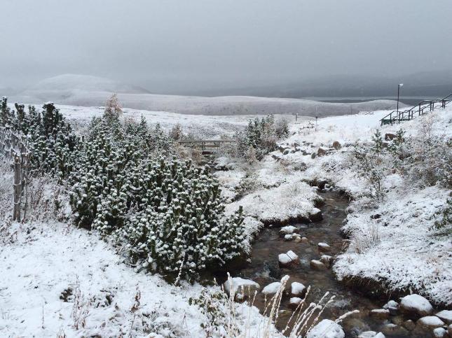 View image on Twitter