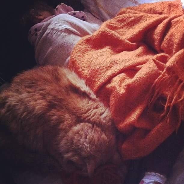 melisatuya's tweet image. Parece que ya llegó el tiempo de sofá, manta y peludo al lado.

Y tambien el viernes 😄

#yaesviernes #sofaymanta